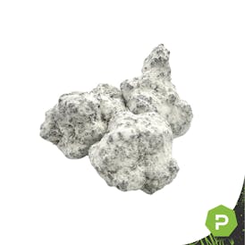 Zootiez | THCA Infused Snowballs | High Society