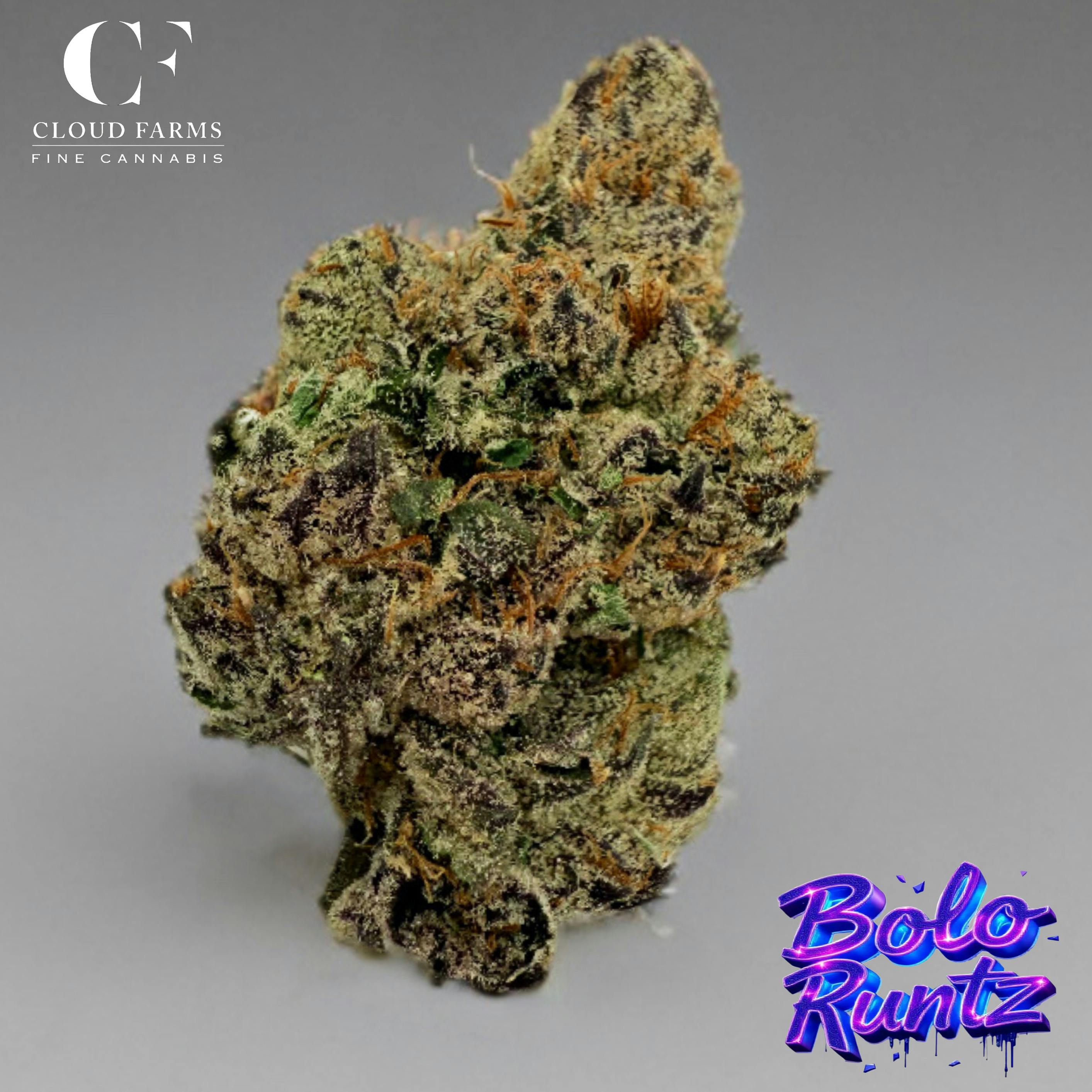 Cloud Farms | Bolo Runtz at PUFF Cannabis Company - Traverse City