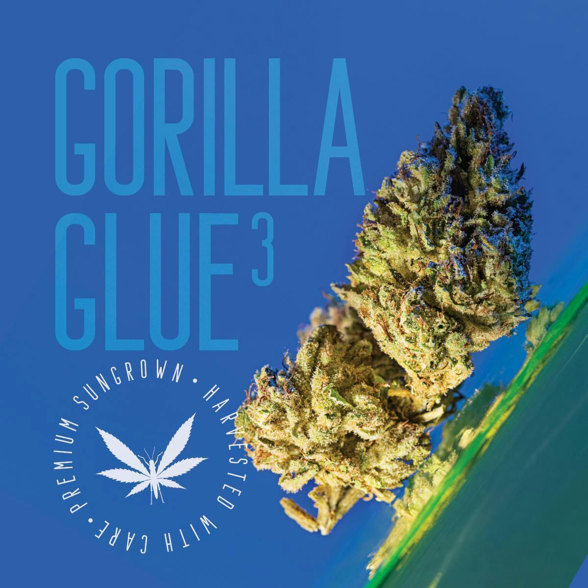 Grasshopper Farms | Gorilla Glue cannabis product