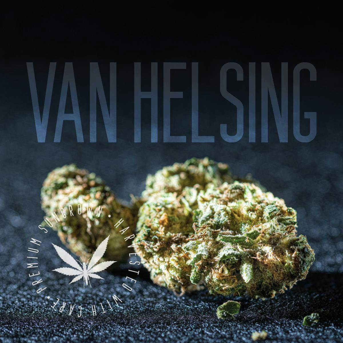 Grasshopper Farms | Van Helsing at PUFF Cannabis - Kalamazoo