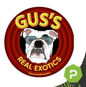 Gus's Real Exotics | Snow White