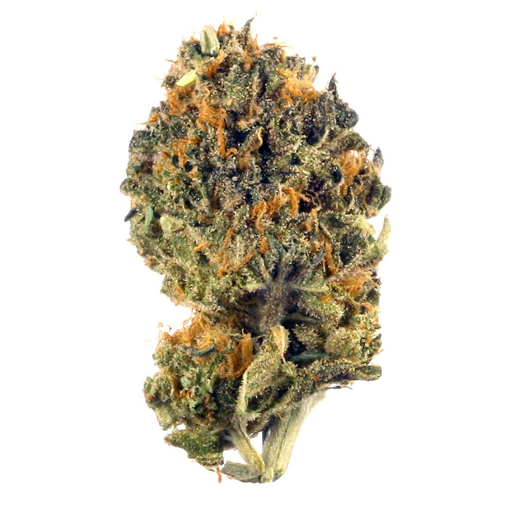 SB, LA Kush Cake, deli - Hybrid at The Knotty Puffin