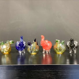 Glass Pipe (animal)