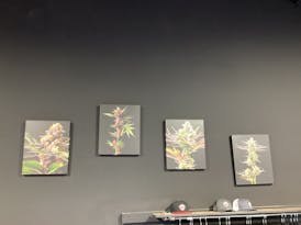 Canvas Rec. Habits Bud Shot Picture