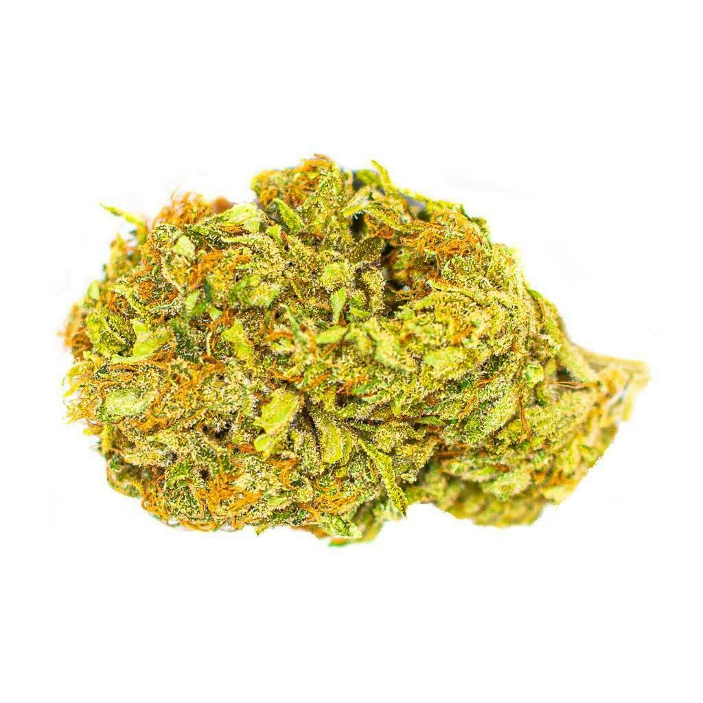 Mango Haze Dried Flower