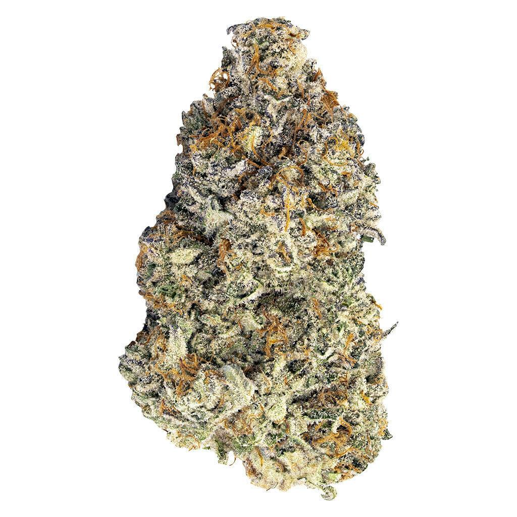 Britscotti 14g Dried Flower