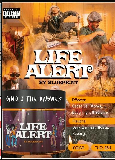 Blueprint - Life Alert 29.21% 7g - Quarter