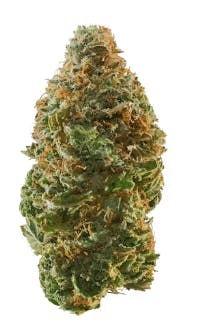 Blueprint - Kosher Kush 31.02% 3.5g - Eight