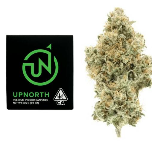 UpNorth - Strawberries and Cream 33.69% 3.5g - Eighth