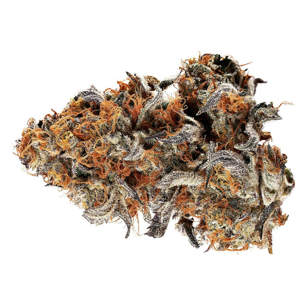 Tribal - Gelato Mint - 3.5g
