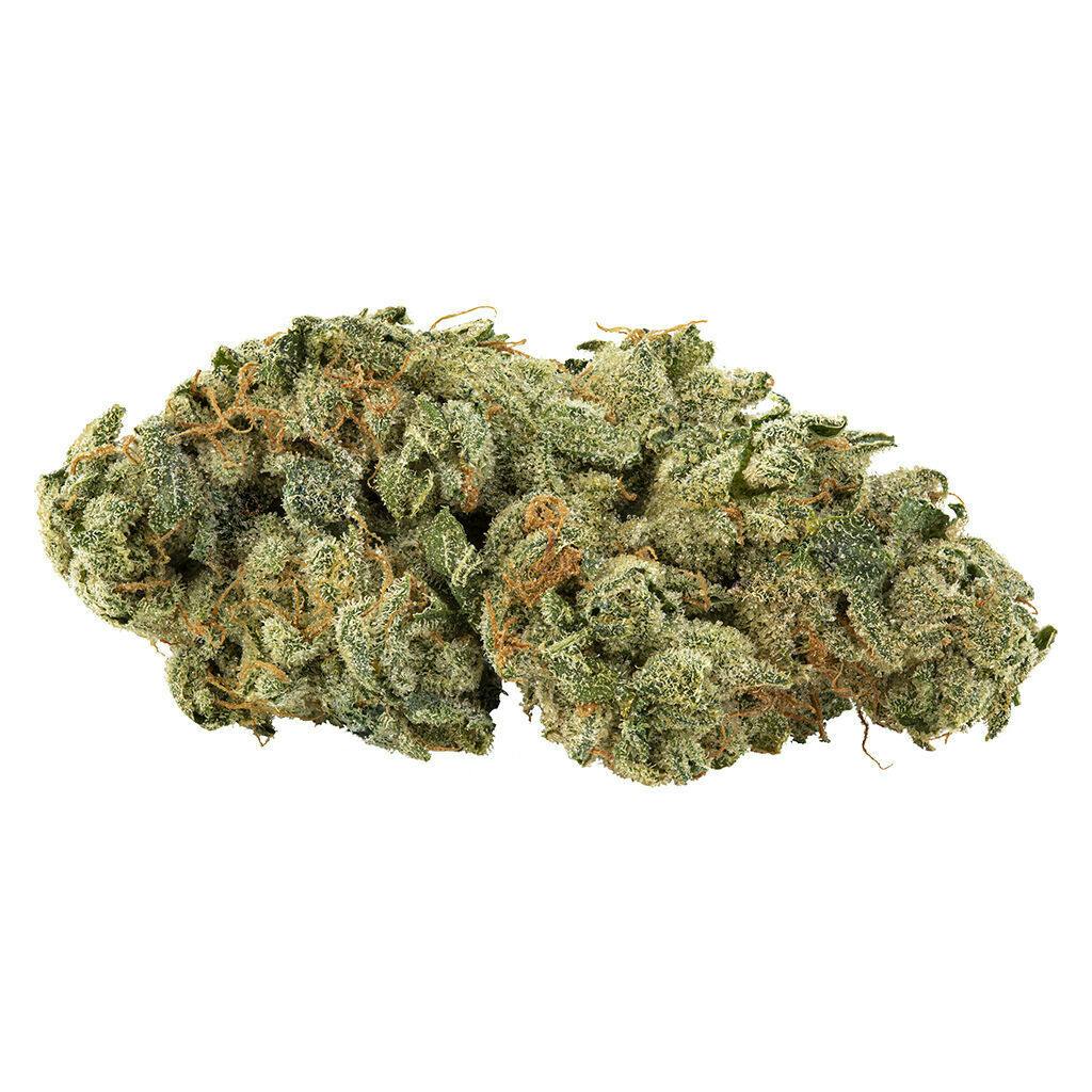 Holy Mountain - GMO Tropical Reign - Sativa - 3.5g