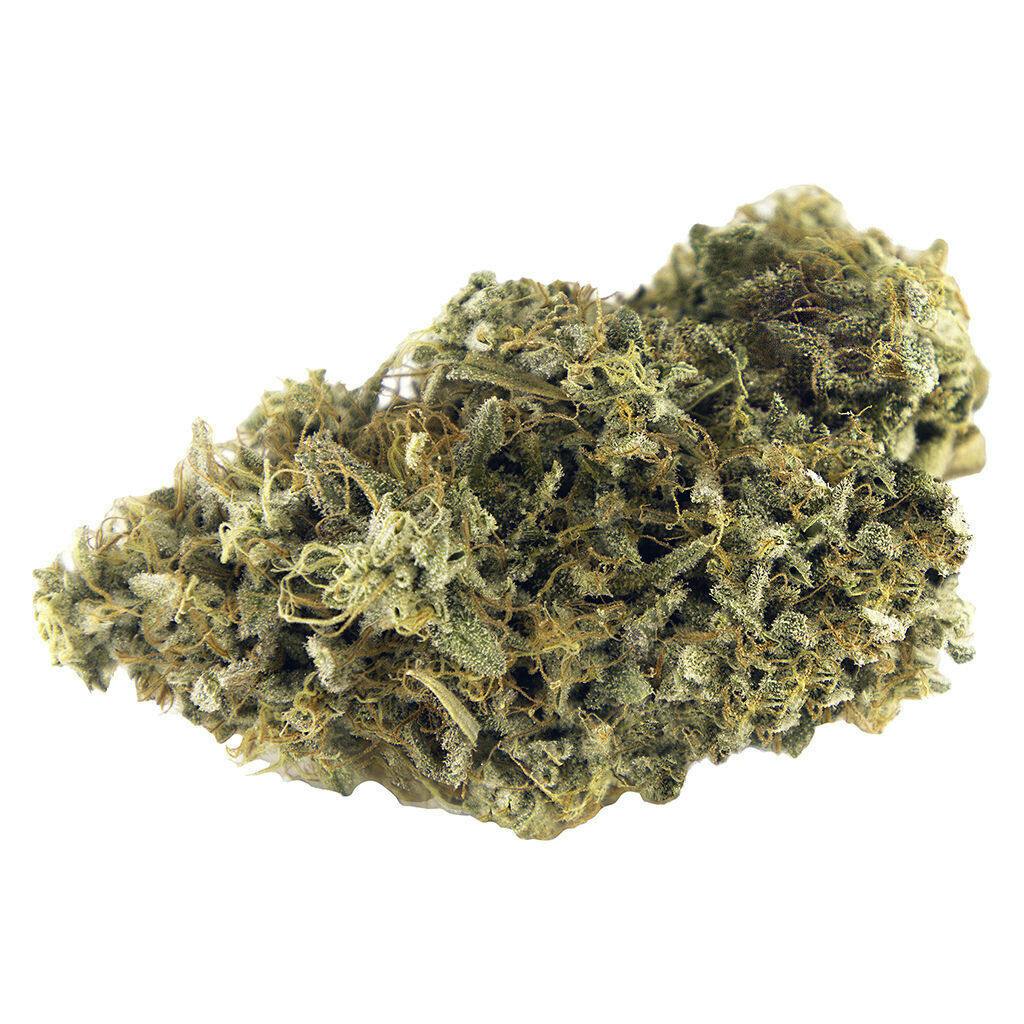 Woody Nelson - Rainbow Driver Craft Flower - Hybrid - 3.5g