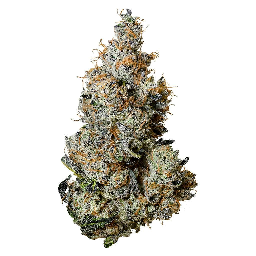 Tribal - Triple Burger - Indica - 3.5g