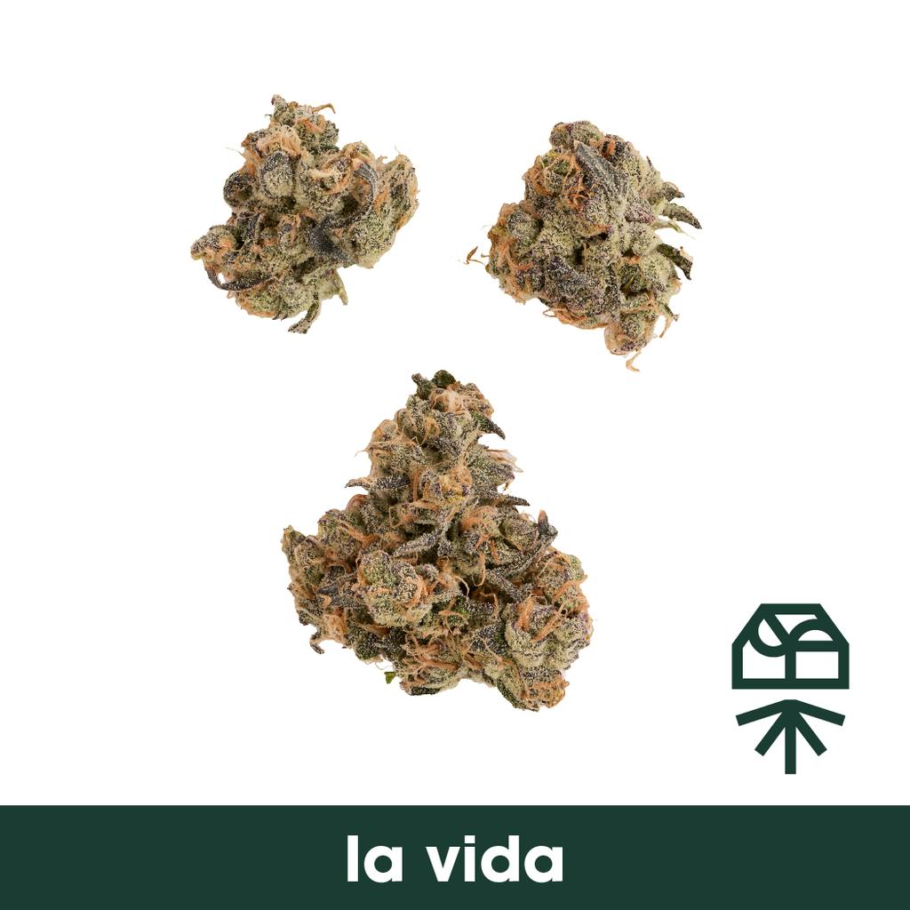 La Vida