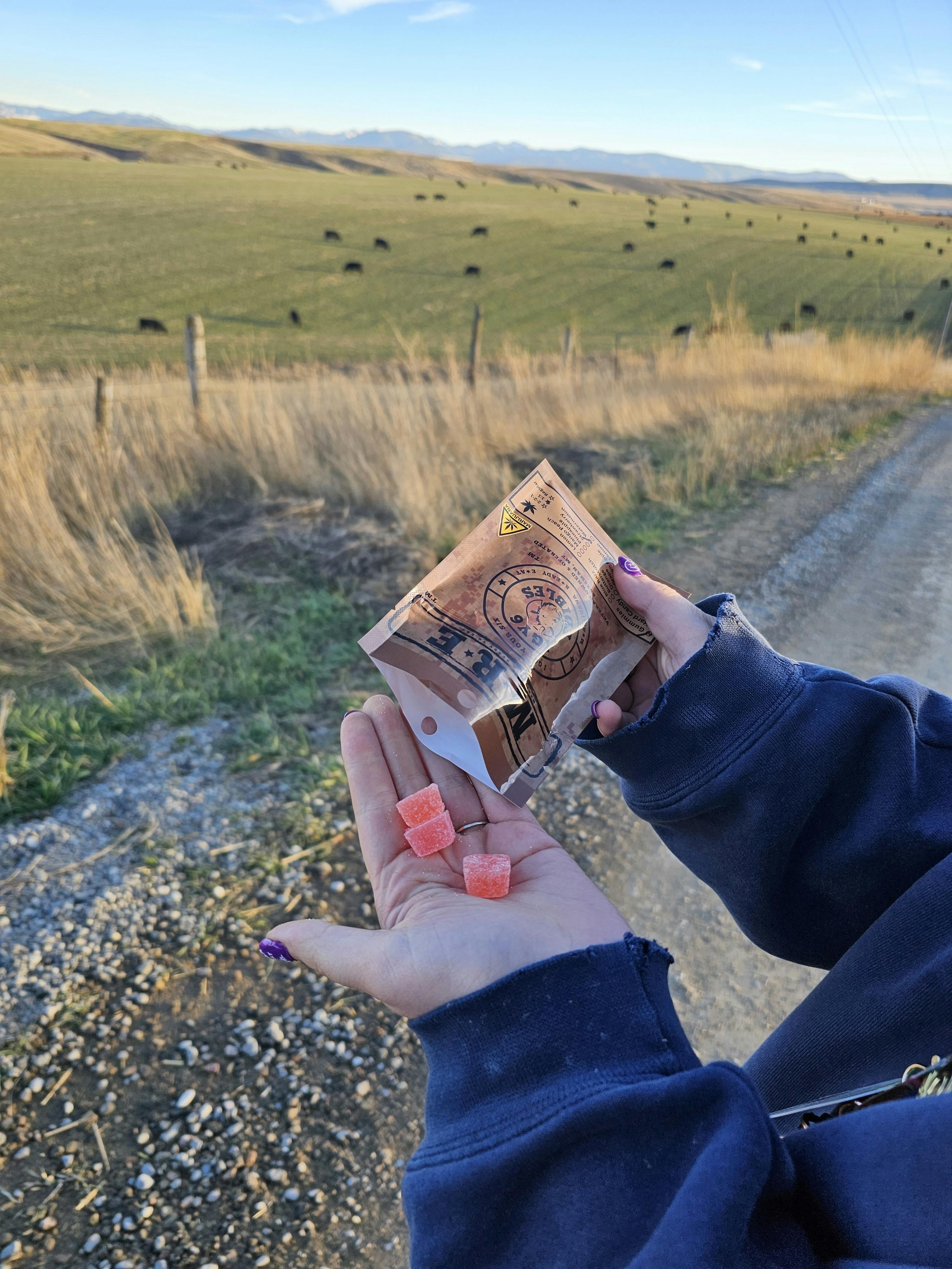 Gummies | Strawberry | Sativa at Lone Peak Cannabis Company