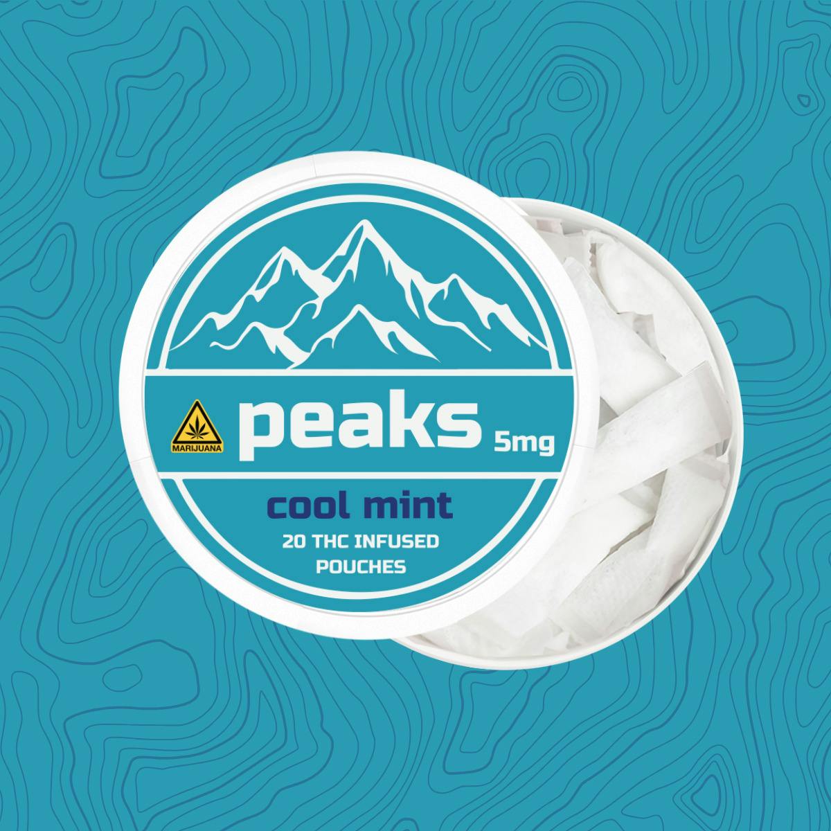 Peaks Pouches | Cool Mint | 20pk at Silverleaf 4 Corners