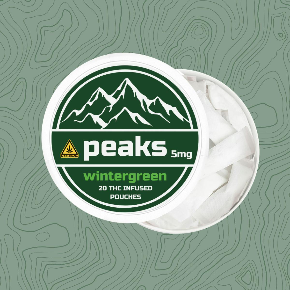 Peaks Pouches | Wintergreen | 20pk at Silverleaf 4 Corners