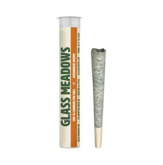 YeaNo I Glass Meadows Flower Pre-roll - 1 g