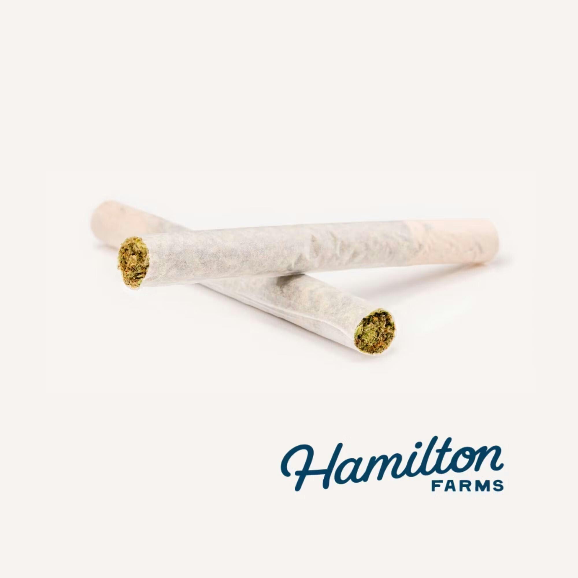 Maui Wowie Hamilton
