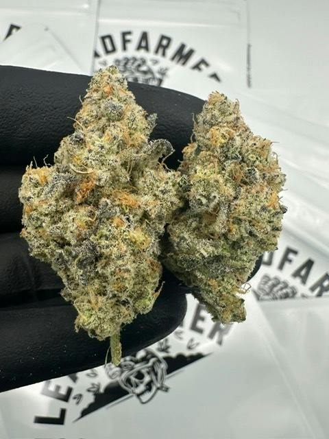 LeadFarmer Flower 7G - Tricho Jordan