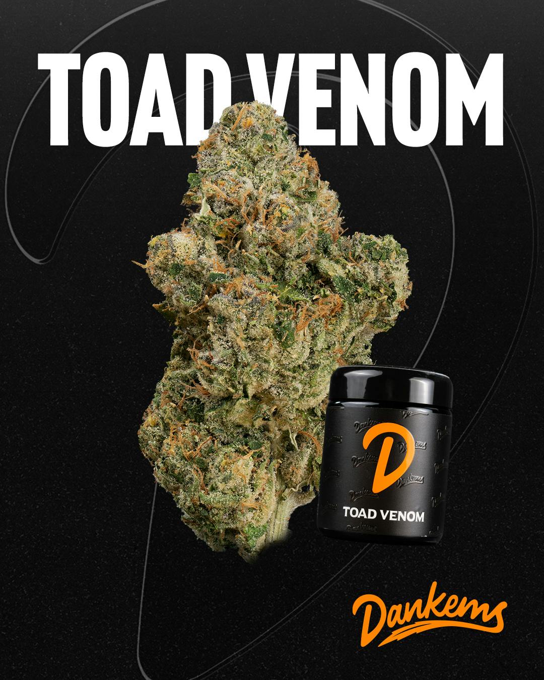 Dankems 14g Toad Venom