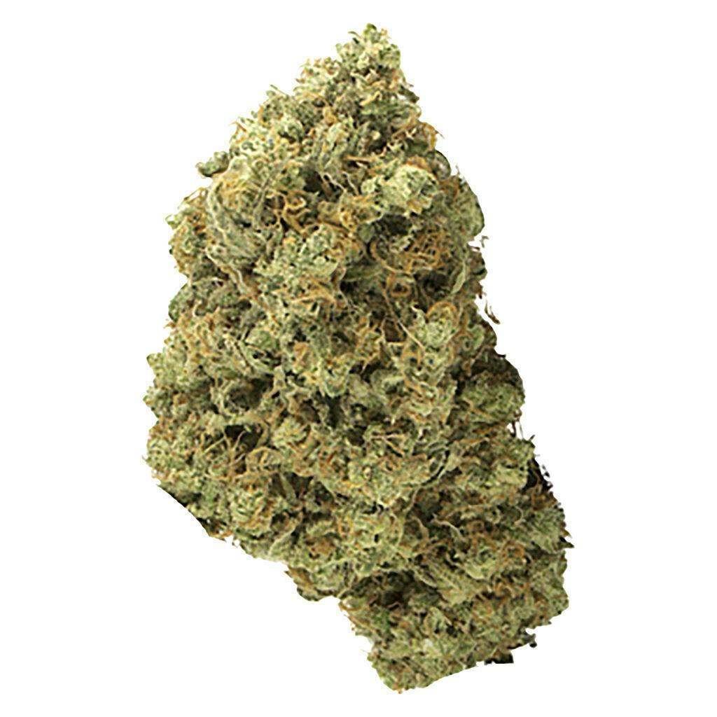 Simply Bare - BC Organic Tangerine Sunrise - Sativa - 3.5g