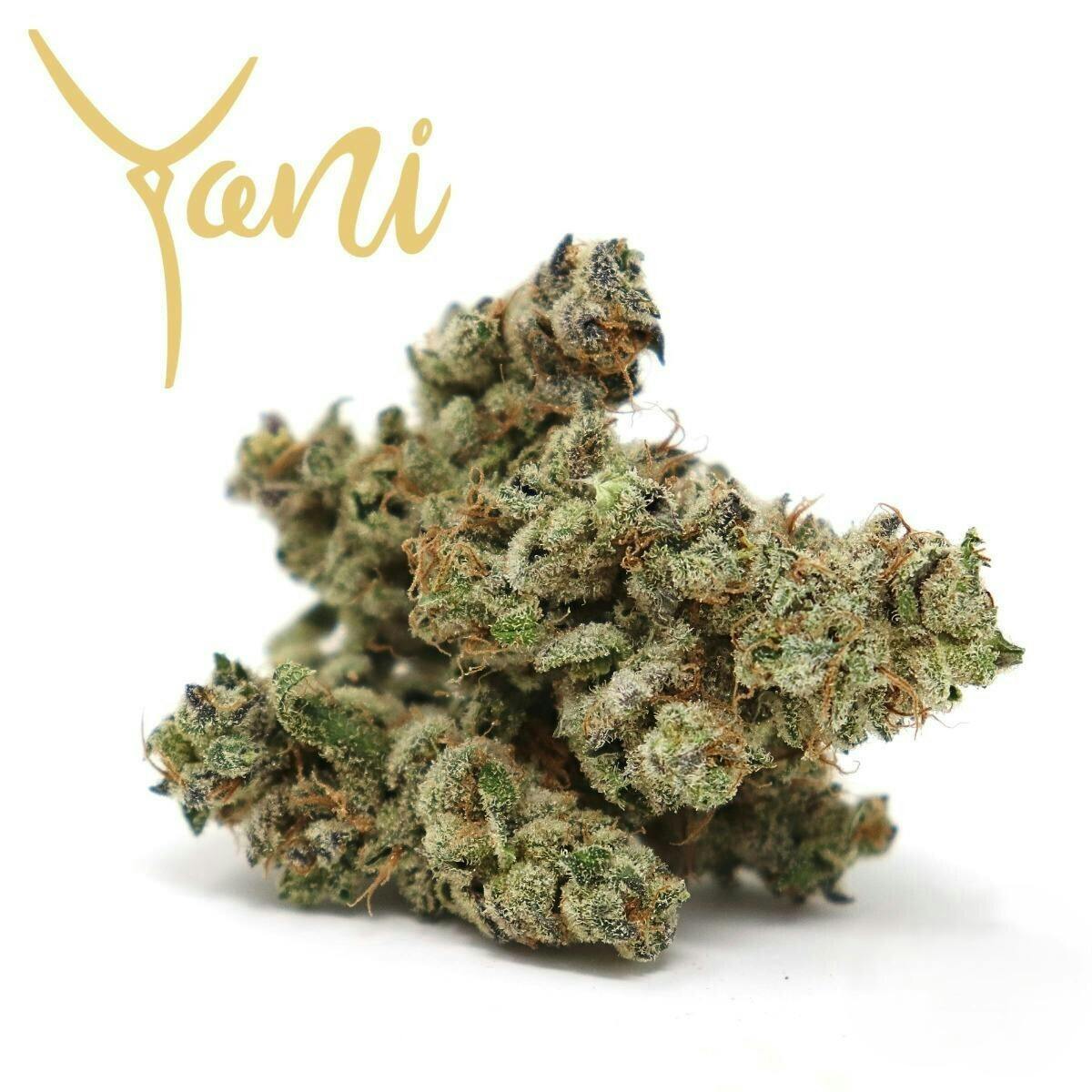 Trichome Jordan Flower