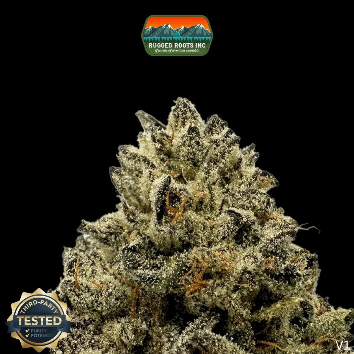 Rugged Roots - Ice Cream Sundae #8 by Rugged Roots