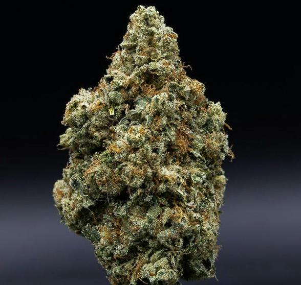 28 G | Motor Breath OZ. | Jar Co