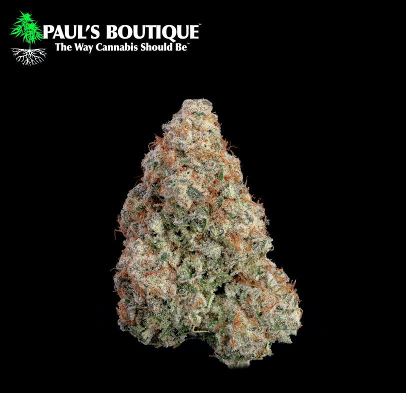 1/8 | Black Cherry Punch | P.B.