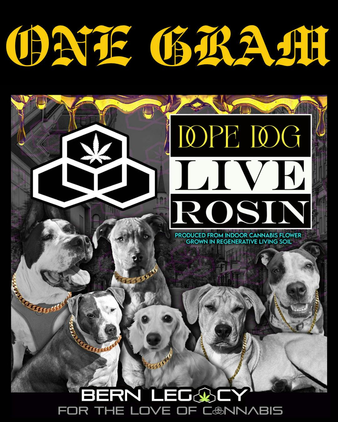 Bern Legacy - Dope Dog - 1G Live Rosin