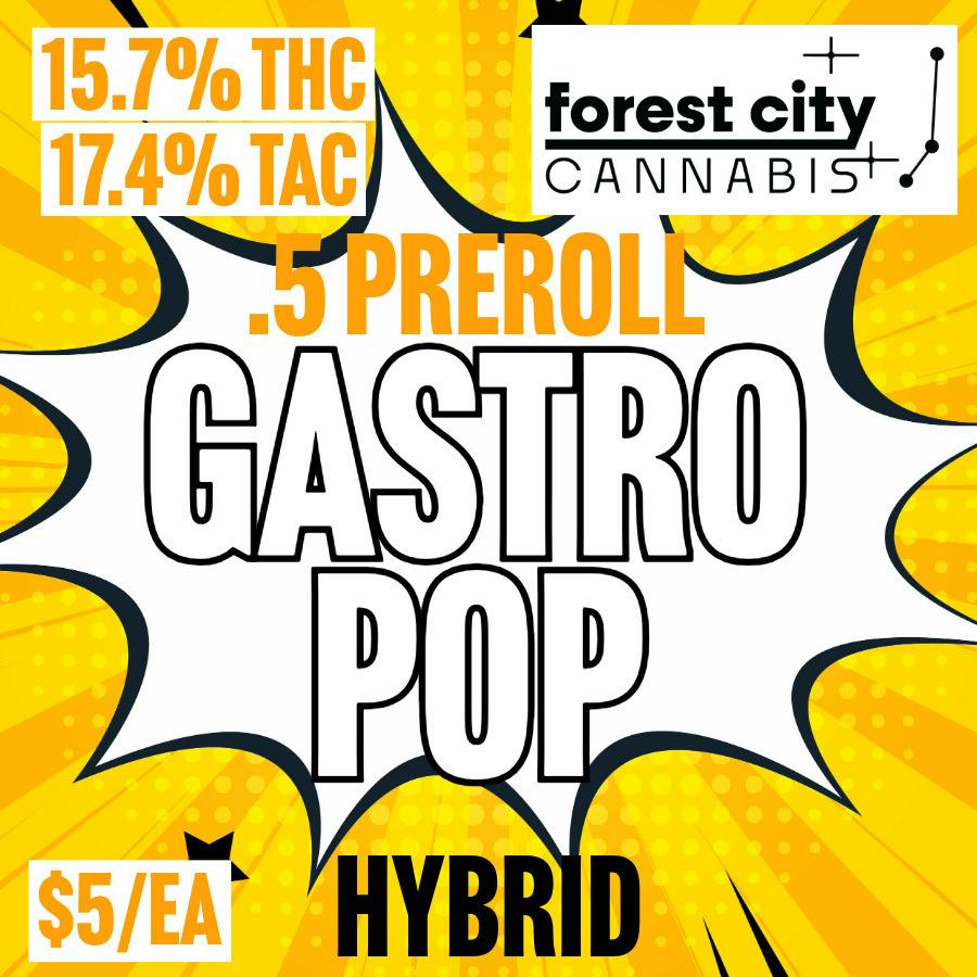 Forest City | Gastro Pop | 2G Live Resin Budder