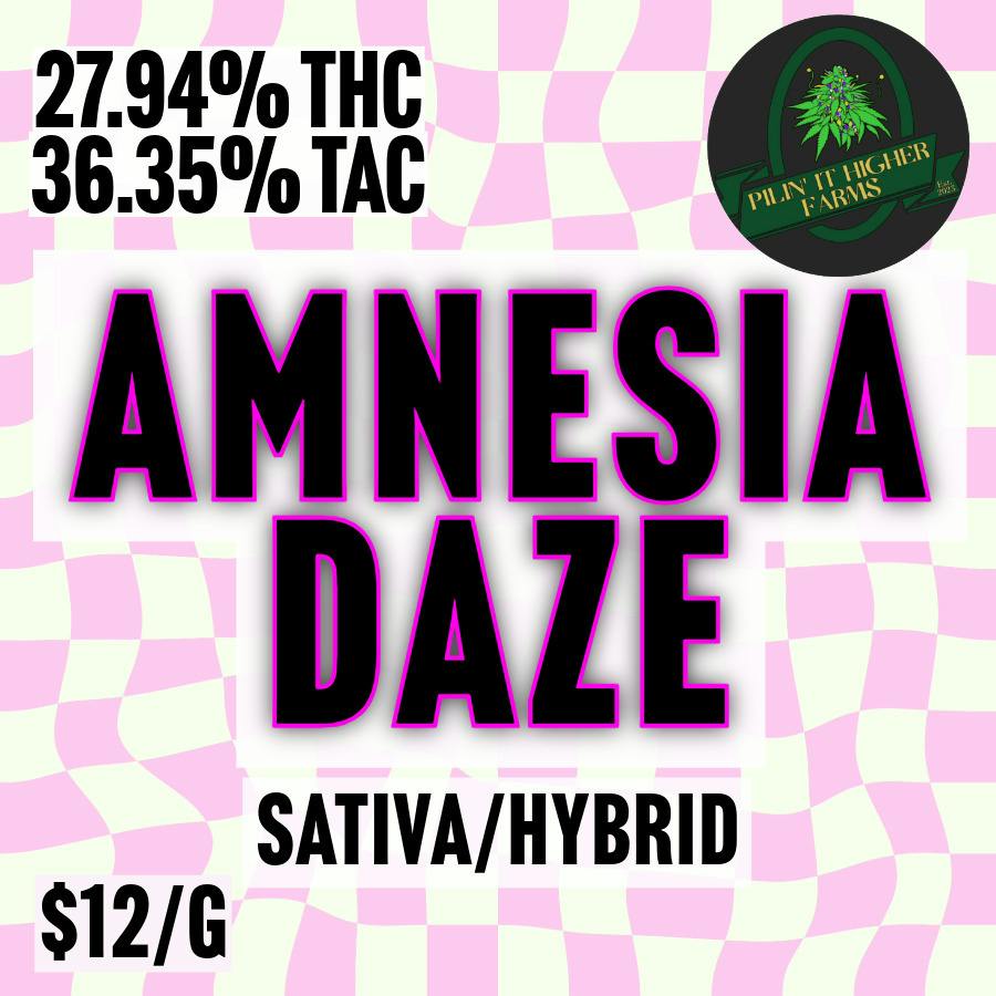Pilin' It Higher Farms | Amnesia Daze | 1G Pre-Roll