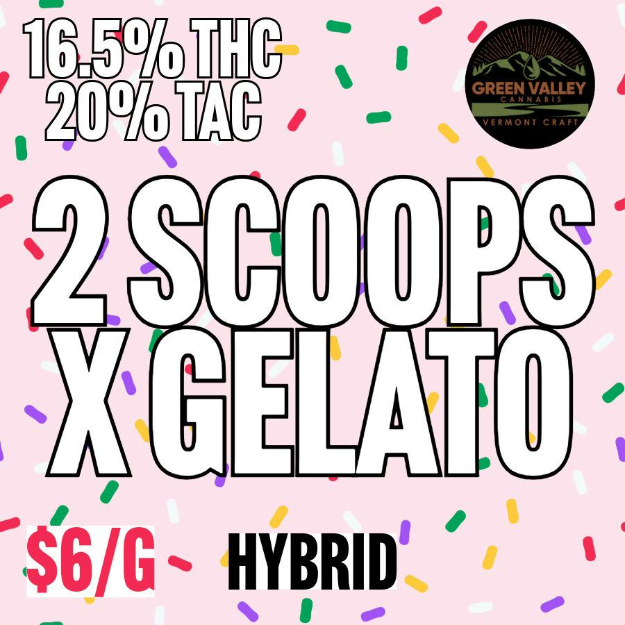 Green Valley | BULK | 2 Scoops x Gelato at MothaPlant St. Albans Dispensary