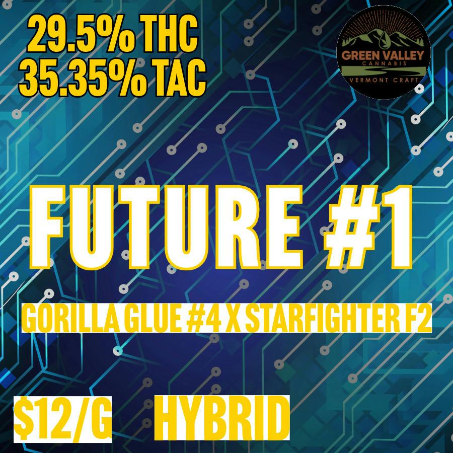 Green Valley - BULK - Future #1