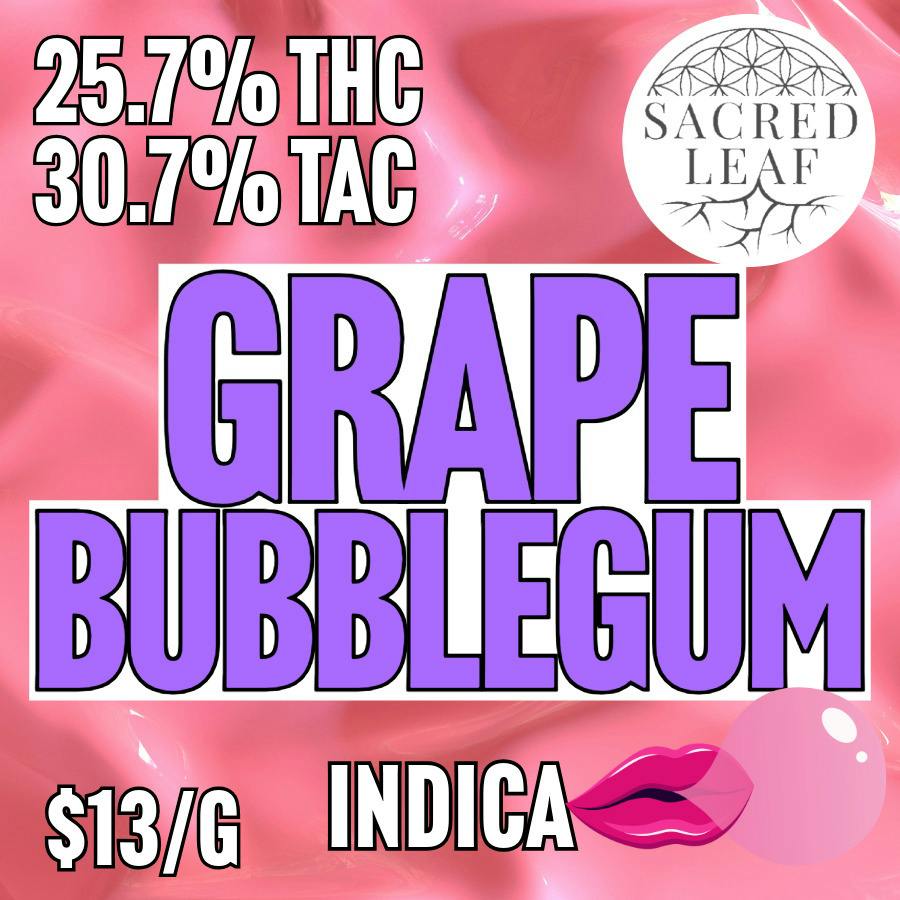 Sacred Leaf - BULK - Grape Bubblegum at MothaPlant St. Albans Dispensary