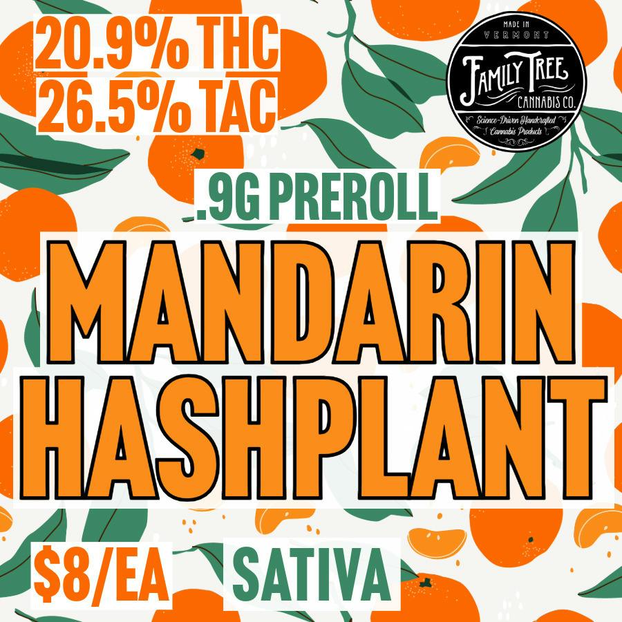 Family Tree - Mandarin Hashplant - BULK 0.9G Pre-Roll at MothaPlant St. Albans Dispensary