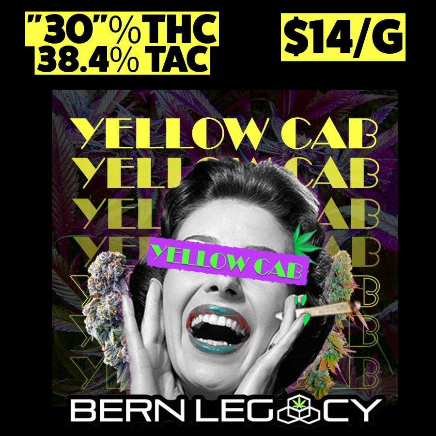 Bern Legacy - BULK - Yellow Cab