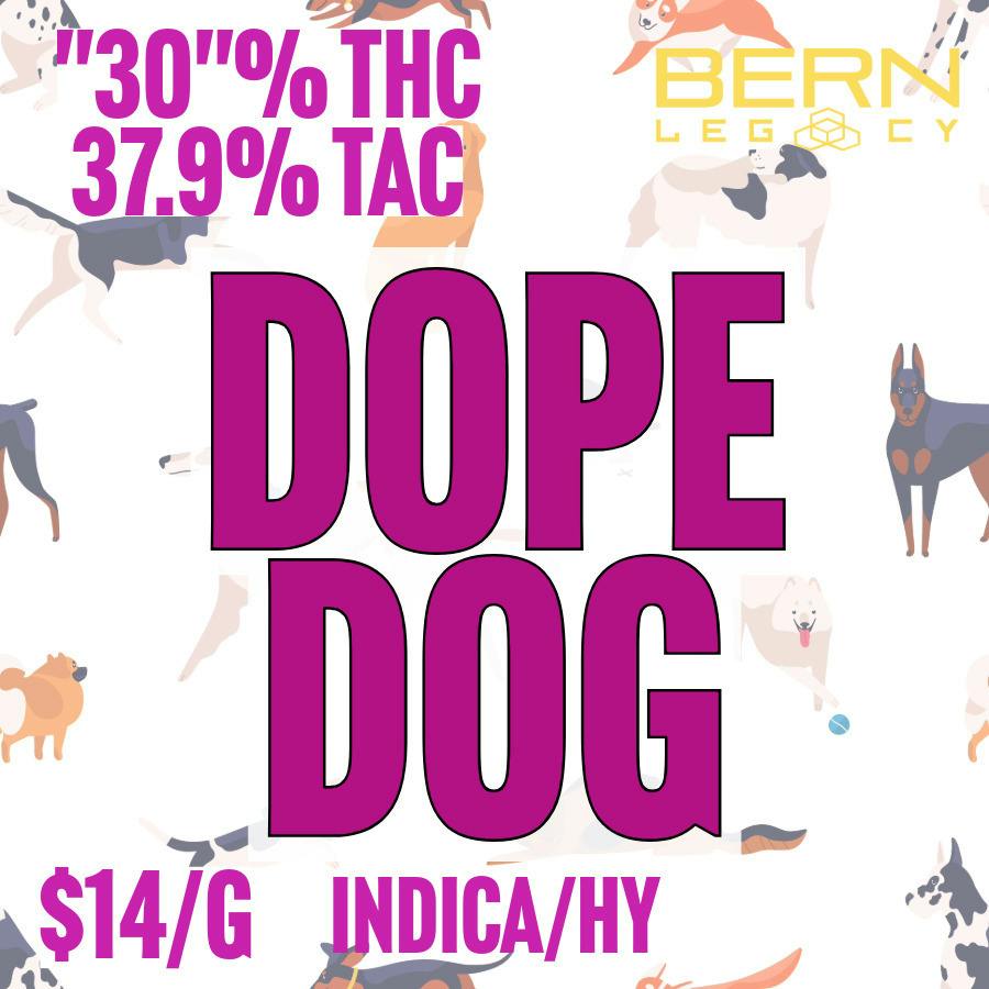 Bern Legacy - BULK - Dope Dog