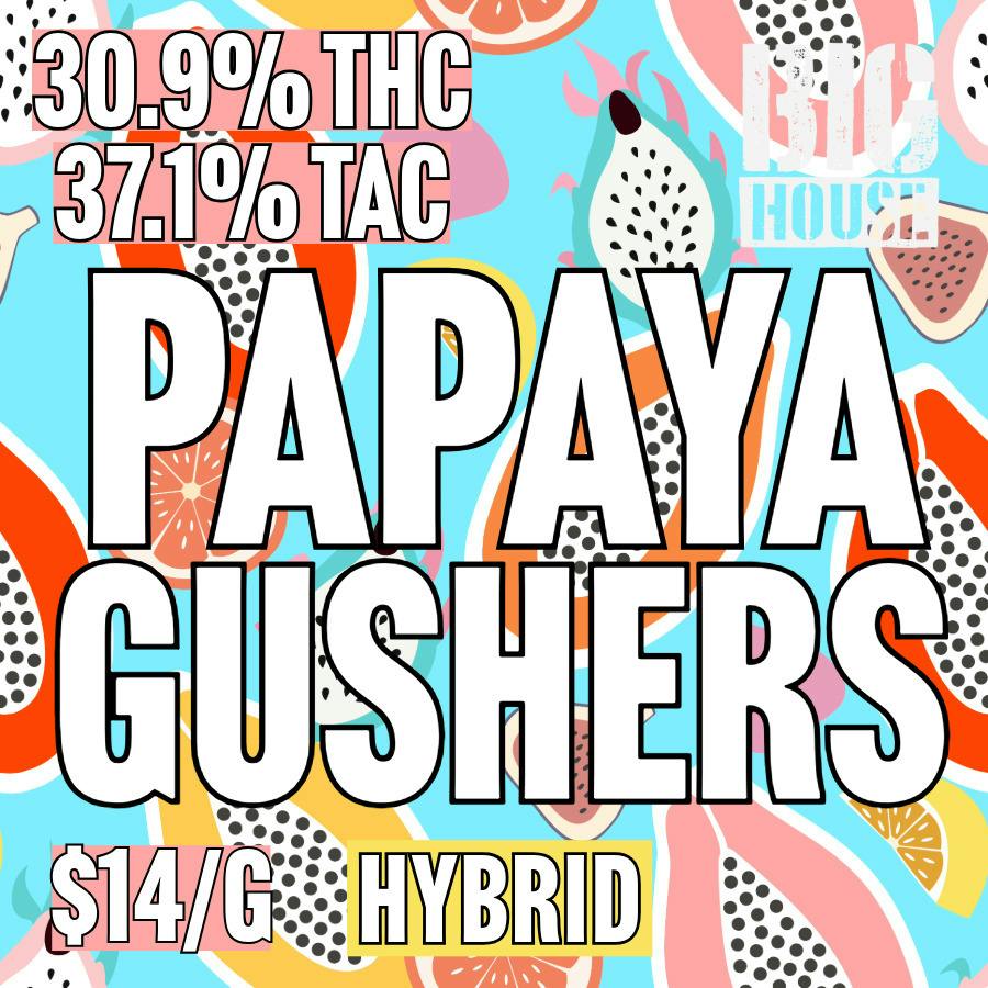 Big House Cultivation - BULK - Papaya Gushers
