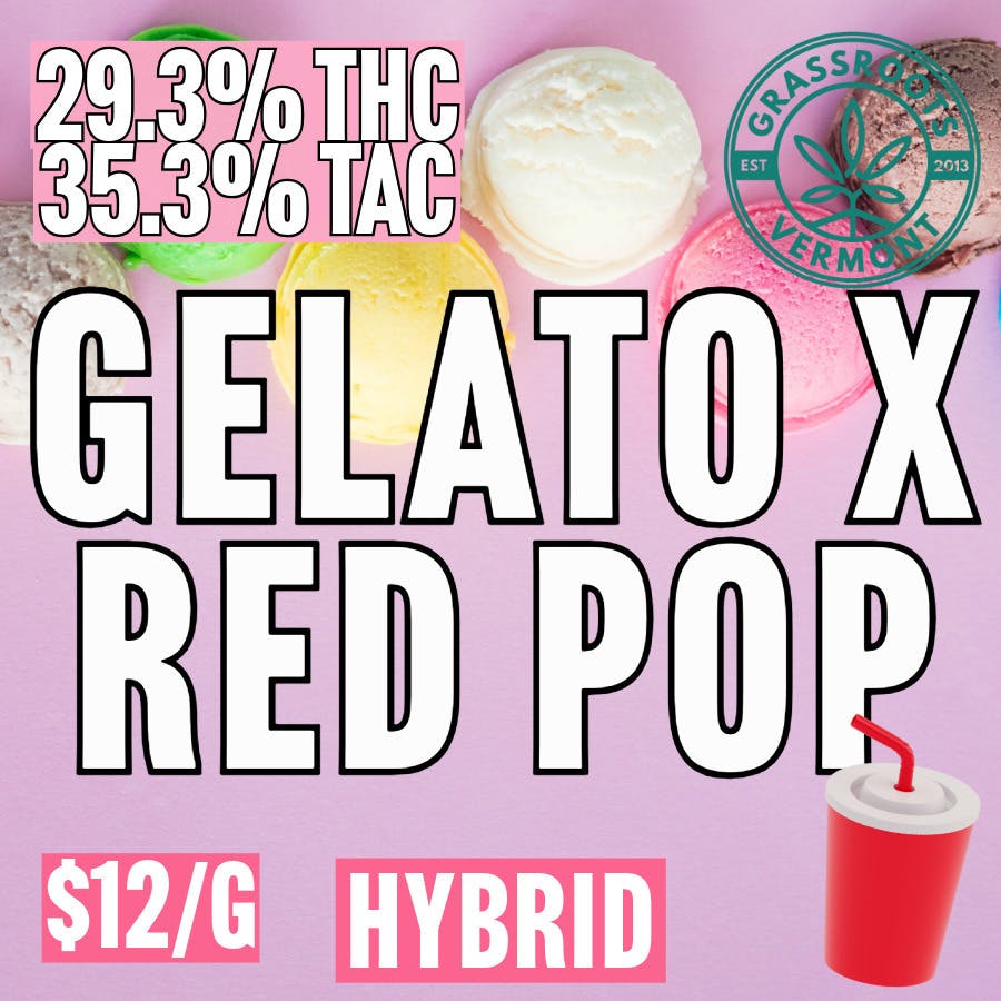Grassroots - BULK - Gelato x Red Pop at MothaPlant St. Albans Dispensary