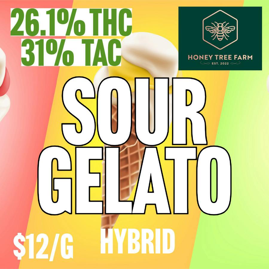 Honey Tree Farm - BULK - Sour Gelato at MothaPlant St. Albans Dispensary