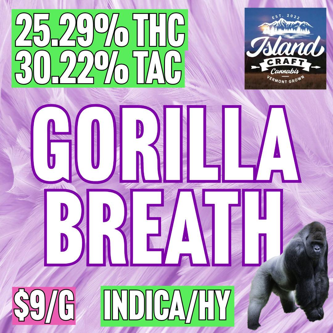 Island Craft Cannabis - BULK - Gorilla Breath at MothaPlant St. Albans Dispensary