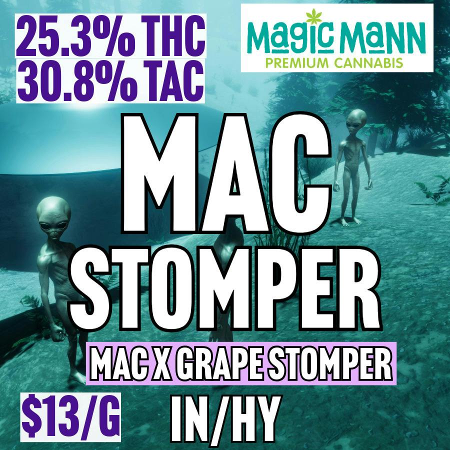 Magic Mann - BULK - MAC Stomper at MothaPlant St. Albans Dispensary