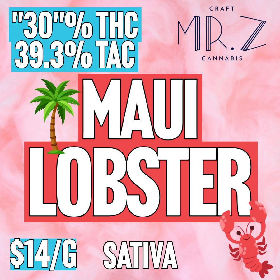 Mr. Z - BULK - Maui Lobster