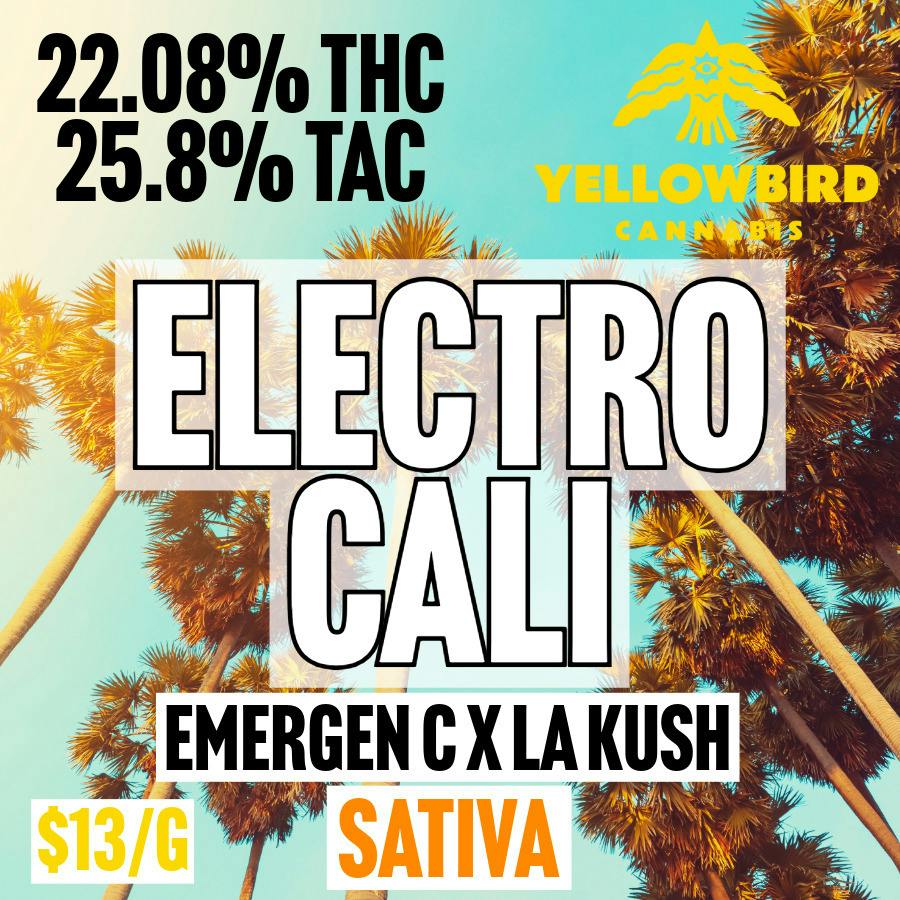 Yellowbird - BULK - Electro Cali at MothaPlant St. Albans Dispensary