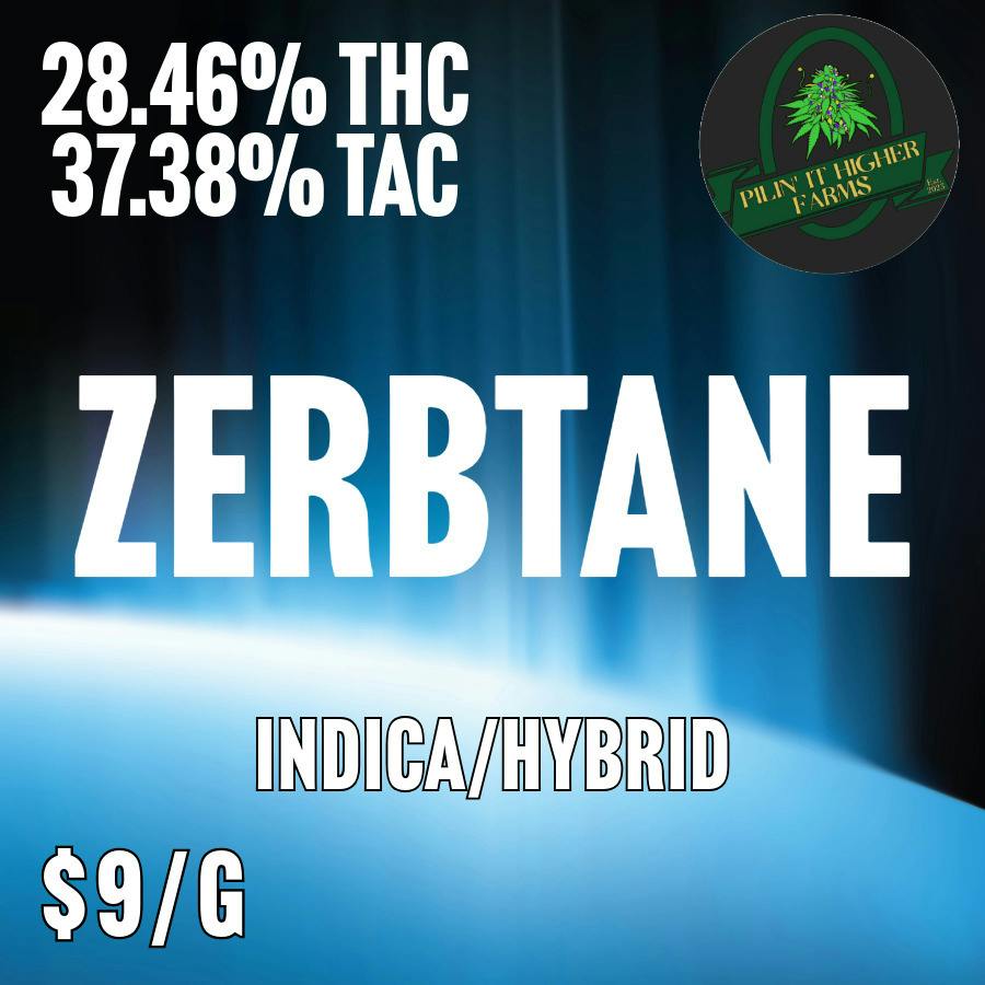 Pilin' It Higher Farms | BULK | Zerbtane at MothaPlant St. Albans Dispensary