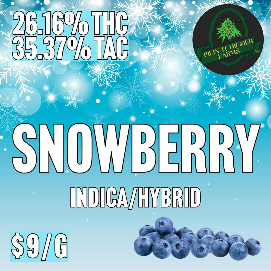 Pilin' It Higher Farms - BULK - Snowberry at MothaPlant St. Albans Dispensary