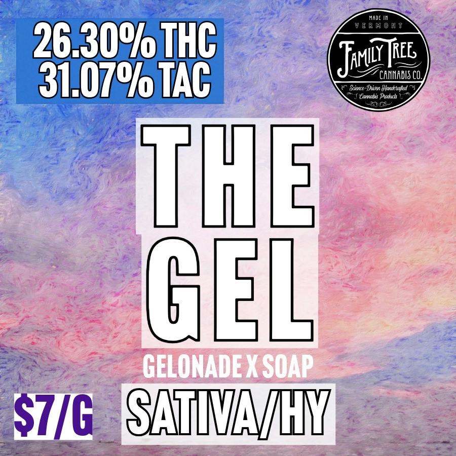Family Tree - BULK - The Gel at MothaPlant St. Albans Dispensary