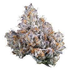 Phantom Farms | Funeral Cake